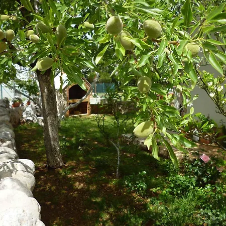 Apartmán - Paklenica Riviera 27380 Seline