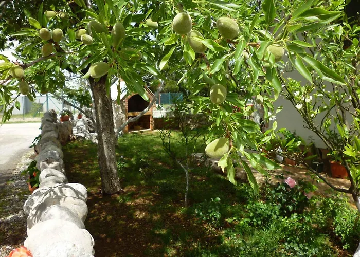 Apartmán - Paklenica Riviera 27380 Seline